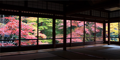 京都本院　瑠璃光院